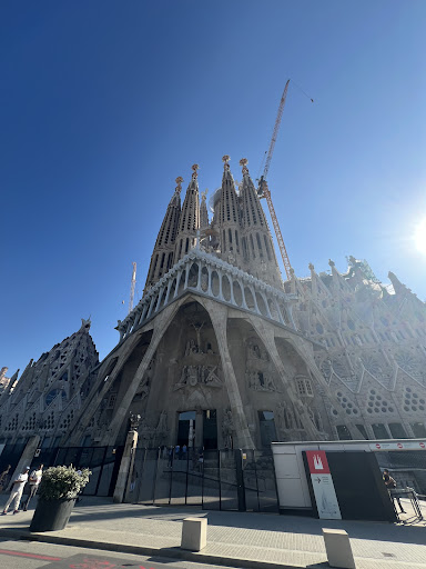 Photo from customer review