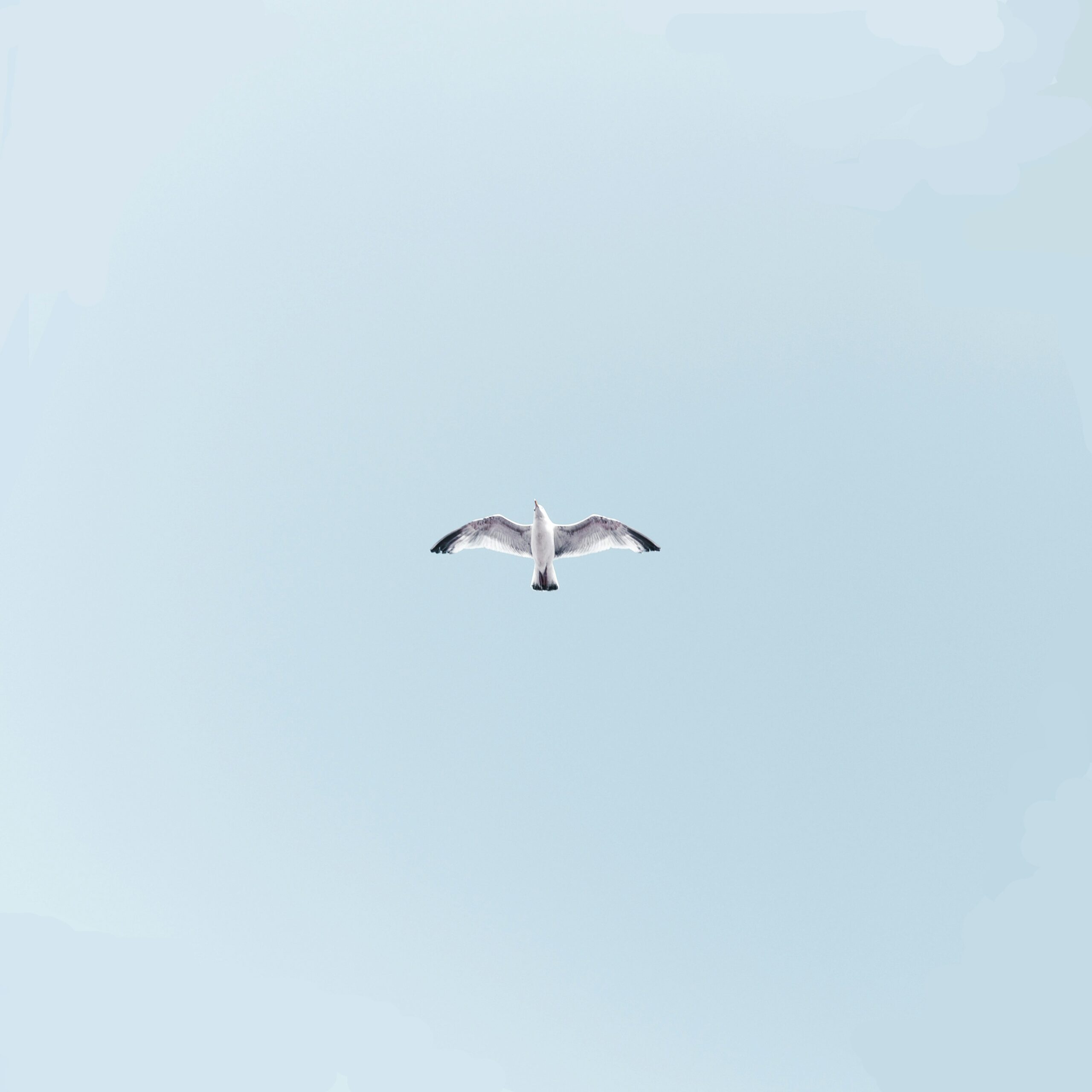 Gender Surgery Reimbursement eligibility UK and Ireland